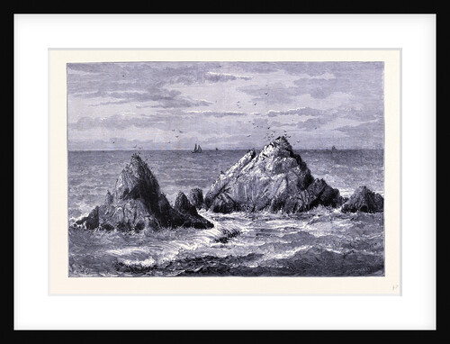 Seal Rocks by Anonymous