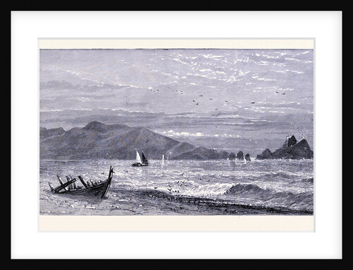 Point San Pedro Near San Francisco by Anonymous