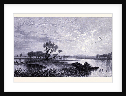 San Joaquin River by Anonymous