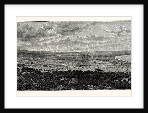 View In The Plain Of Latakia, In Syria by Anonymous