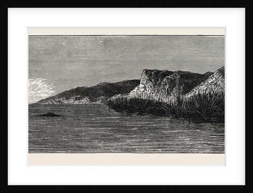 View On The Banks Of The Tigris by Anonymous