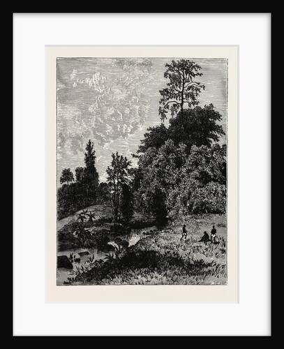 A View In Abyssinia by Anonymous