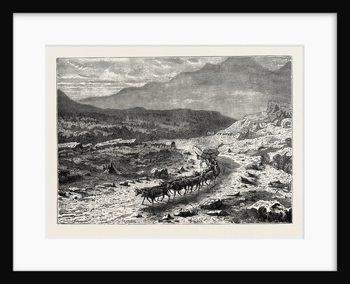 A Bullock Waggon On Its Way To The Diamond Fields, South Africa by Anonymous