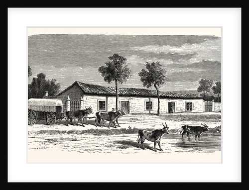 A Boer Farm, South Africa by Anonymous