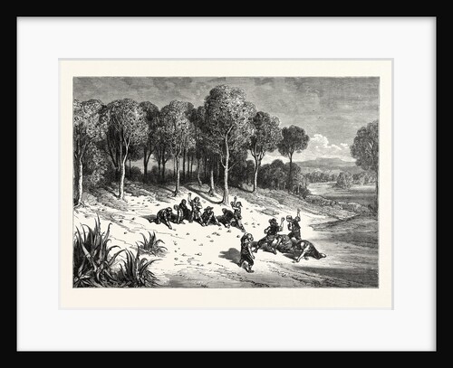 An Orange Grove In The South Of Spain by Anonymous