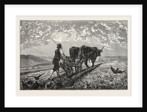 A French Agriculturist by Anonymous