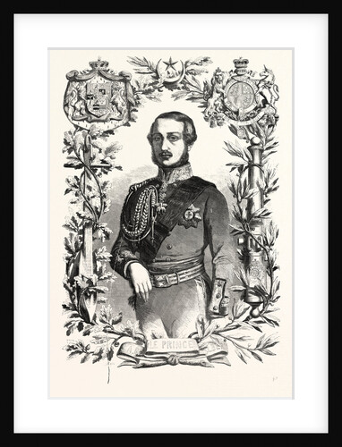 Prince Albert. The Prince Consort of Queen Victoria by Anonymous