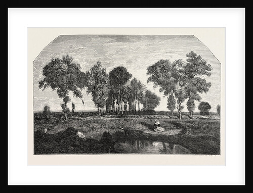 Salon of 1855. The Forest, Engraving 1855 by Anonymous