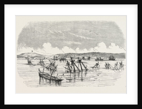 State of the Russian Ships, the Day after the Capture of Sevastopol by the French Army. The Crimean War, 1855 by Anonymous