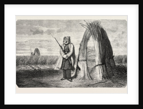 A Turkish Sentinel by Anonymous