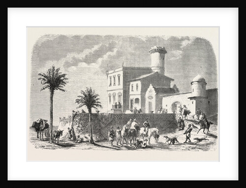 Ramle, Near Alexandria, Egypt by Anonymous