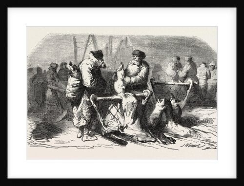 Pigs Dealers Petersburg. According to the Sketch of M. De Henriet. 1855 by Anonymous