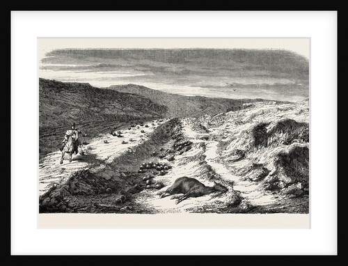 The Ravine, Balls, Before Sebastopol. The Crimean War, 1855 by Anonymous