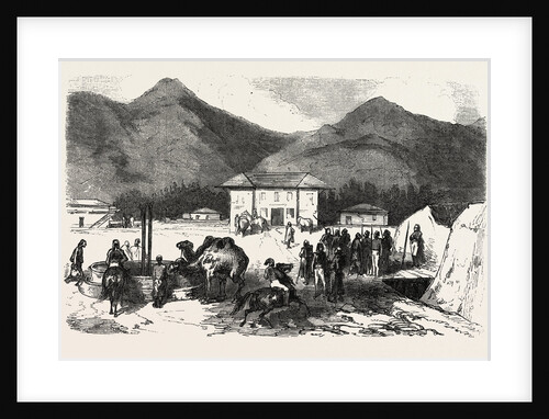Camp Sefer Pasha, in Batum, 1855 by Anonymous