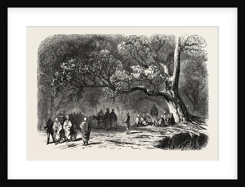 The Kief in the Islands of Princes, 1855 by Anonymous