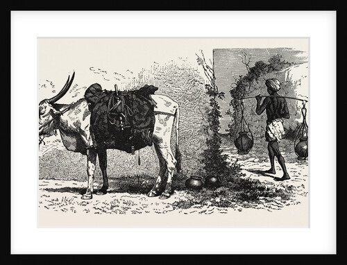 Water Carriers, India by Anonymous
