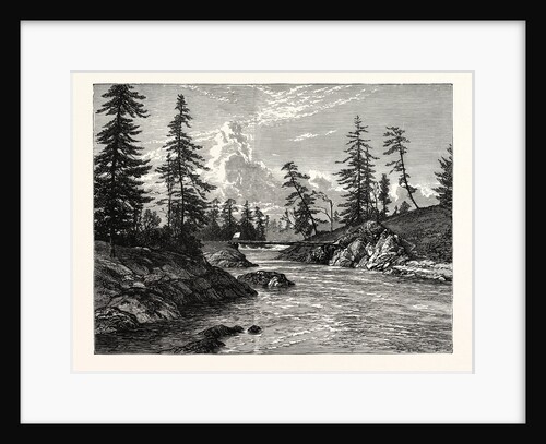 View of the Gorge, or Narrowest Point of the Western Prolongation of Victoria Harbour, Vancouver Island, with Trees of Abies Douglasii by Anonymous