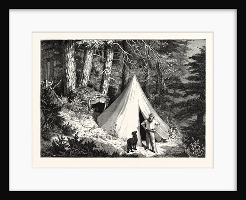 A Summer Encampment in a North Pacific Forest: Copper Mountain, Near Alberni, on the Western Shores of Vancouver Island by Anonymous