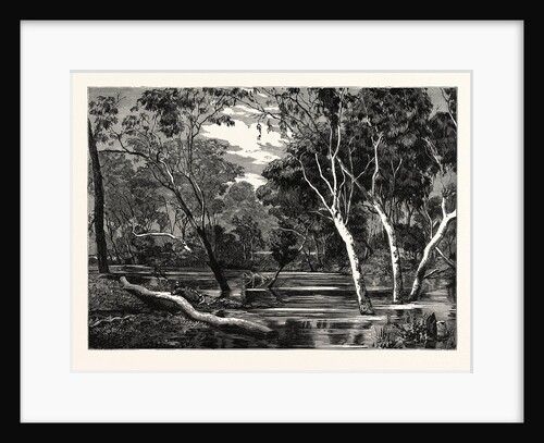 View on the Ovens River, Victoria. by Anonymous