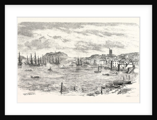 The Town and Harbour of Falmouth by Anonymous