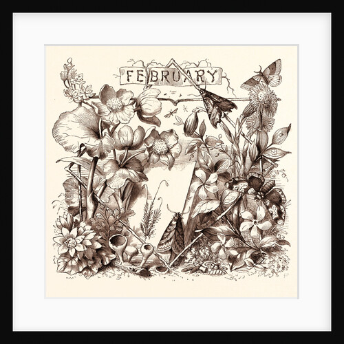 February by Anonymous