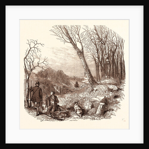 Rabbit Shooting, Rabbits by Anonymous