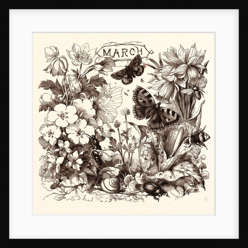 March by Anonymous