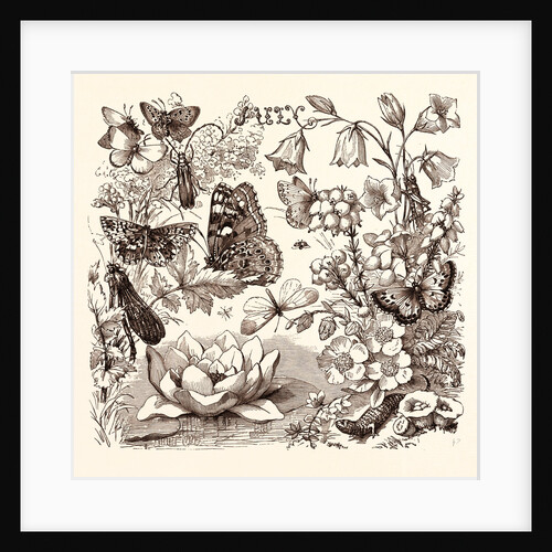 July by Anonymous