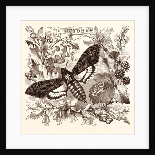 October by Anonymous