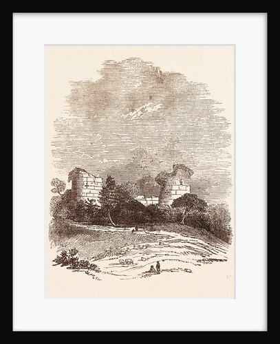 Ruins of Chartley Castle by Anonymous