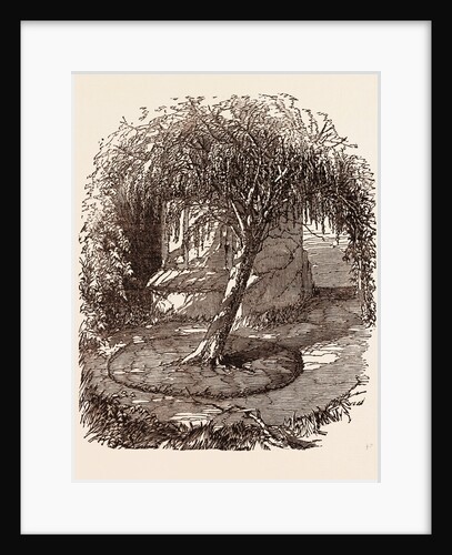 Garden at Waterloo, the Burial Place of the Marquis of Anglesey's Leg by Anonymous