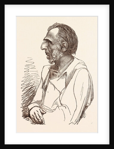 Lieutenant General Sir Charles Napier, the Hero of Scinde by Anonymous