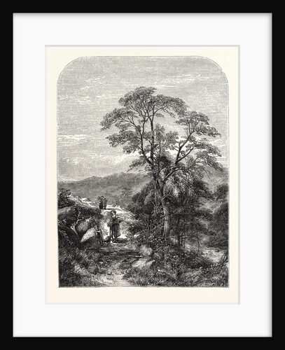 A Mountain Spring by Anonymous