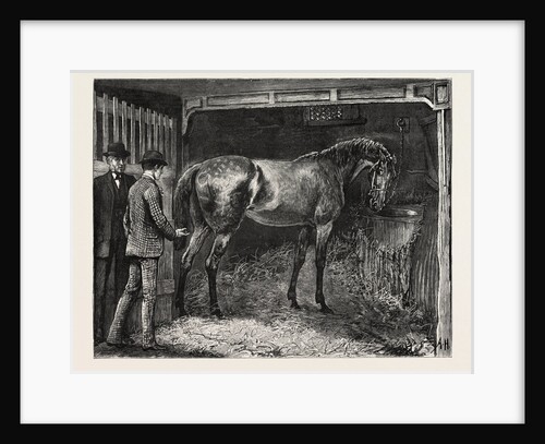 Horse, Stable by Anonymous