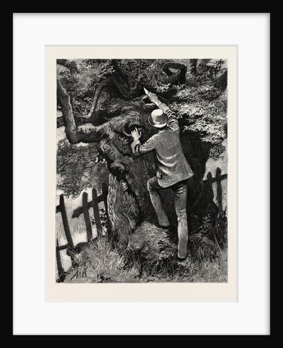 The Tree by Anonymous