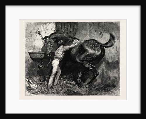 Rubbing Down the Dancing Master by Anonymous