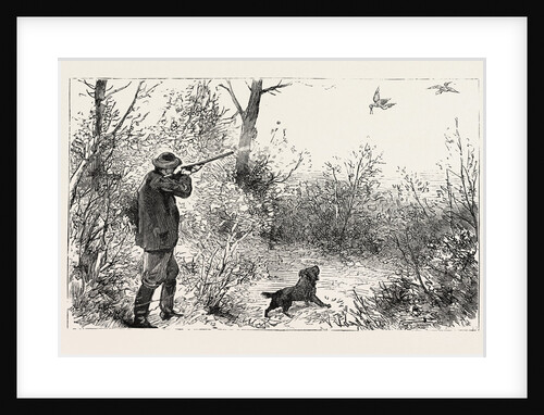 Woodcock Shooting by Anonymous