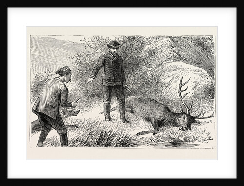 No Need for the Coup De Grace, Hunt, Hunting by Anonymous