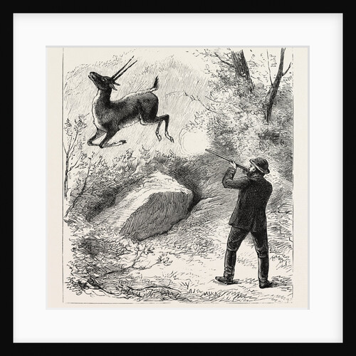 A Flying Shot by Anonymous