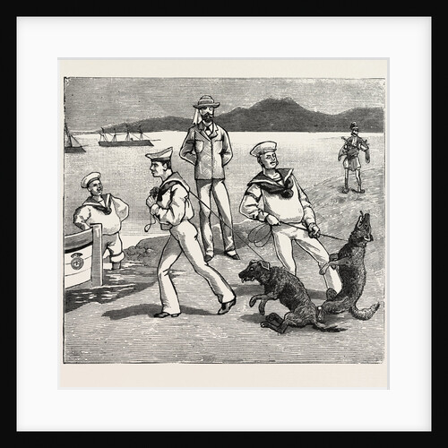 By Jove, Those Dogs Seem to Have Taken Quite a Liking to My Men by Anonymous