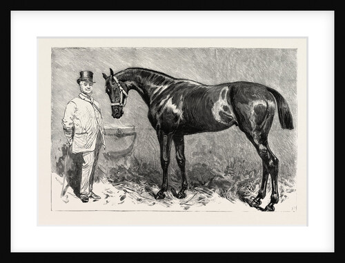 St. Simon, Winner of the Goodwood Cup by Anonymous