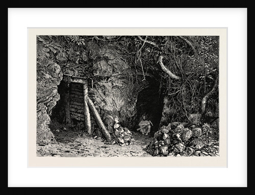 Tunnels for Quartz at Needlerock, Stone's Reef Gold Mining in Wynaad, India by Anonymous