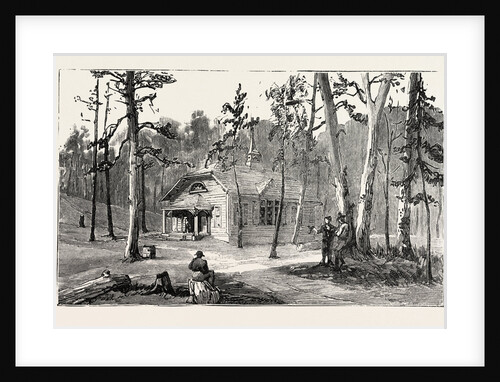 The Hughes Public Library, Thomas Hughes Settlement New Rugby Tennesee, United States by Anonymous