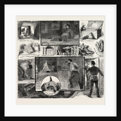 Rats on Board Ship a Midnight Fantasy by Anonymous