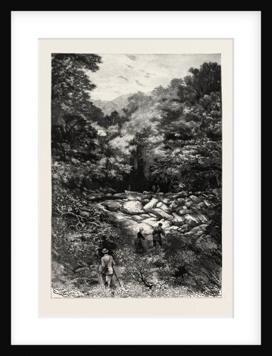 The Grotto of St. Andre Near Nice, France by Anonymous