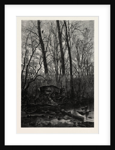 Forest Scene in Spring by Anonymous