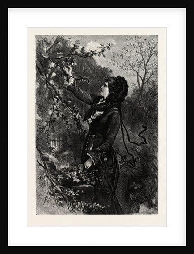 Fruit, Lady by Anonymous