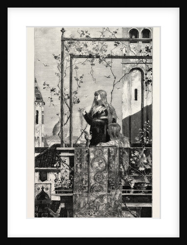 On the Balcony at Venice,Italy by Anonymous