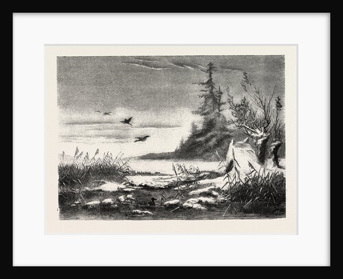 Ambush for Duck Shooting by Anonymous