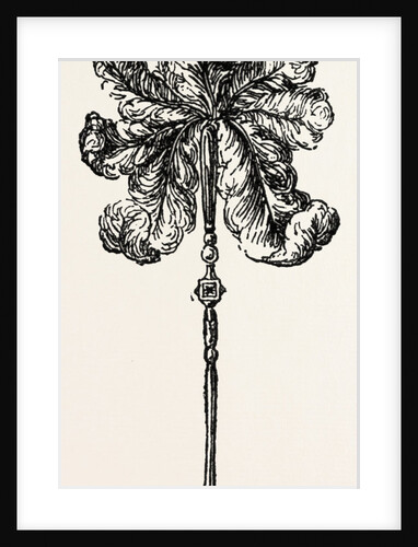 Arrangement of Fan by Anonymous